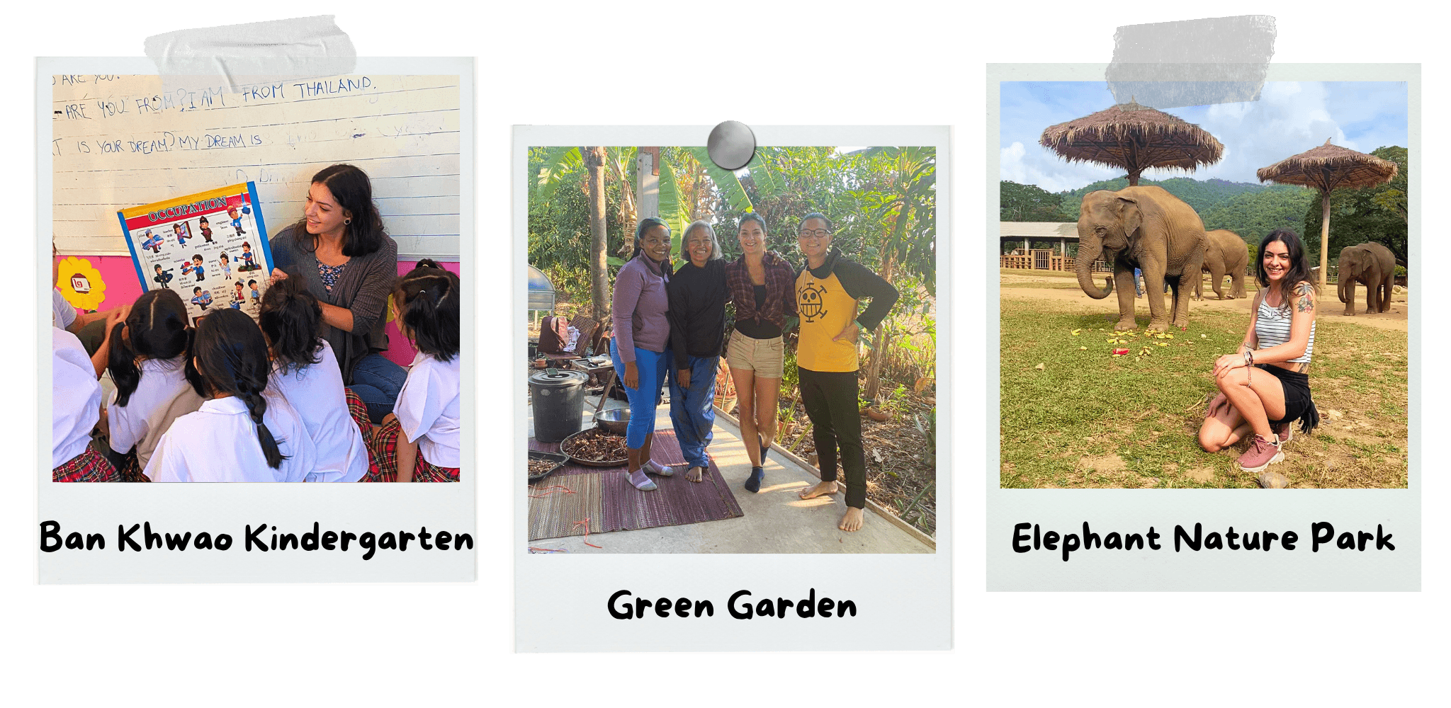 2-months-in-thailand-a-journey-across-the-land-of-smiles-ban-khwao-green-garden-elephant-nature-park
