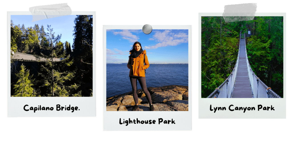4-months-in-vancouver-35-top-things-to-see-and-do-capilano-bridge-lighthouse-park-lynn-canyon-park