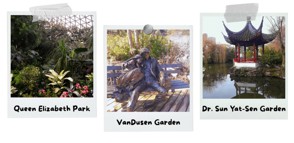 4-months-in-vancouver-35-top-things-to-see-and-do-elizabeth-park-vandunes-botanical-garden-dr-sun-yat-sen-chinese-garden