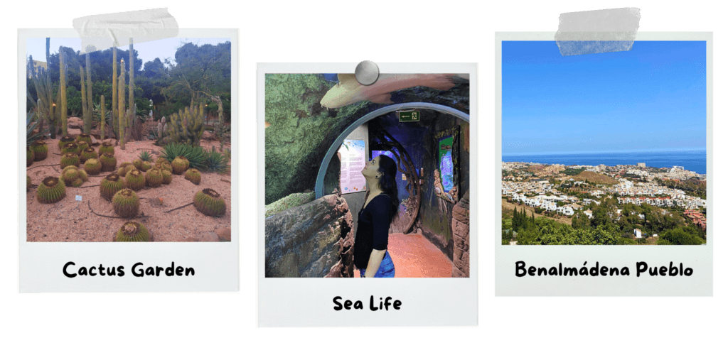 benalmadena-the-fairytale-land-of-the-costa-del-sol-cactus-garden-sea-life-pueblo