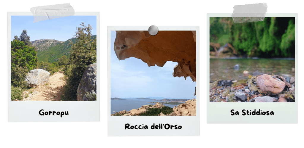 35-top-things-to-see-and-do-in-sardinia-gorropu-roccia-dell'orso-sa-stiddiosa