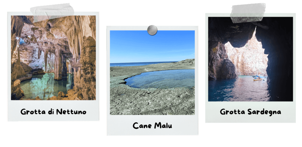35-top-things-to-see-and-do-in-sardinia-grotta-di-nettuno-cane-malu-grotta-sardegna