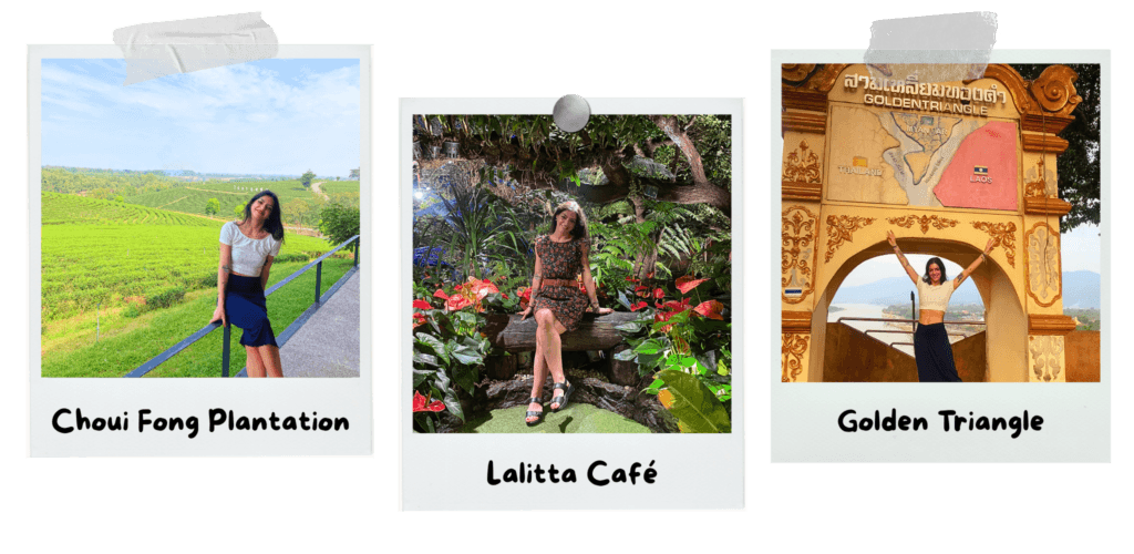 2-days-in-chiang-rai-white-temple-green-fields-and-the-golden-triangle-choui-fong-tea-plantation-lalitta-cafe-golden-triangle