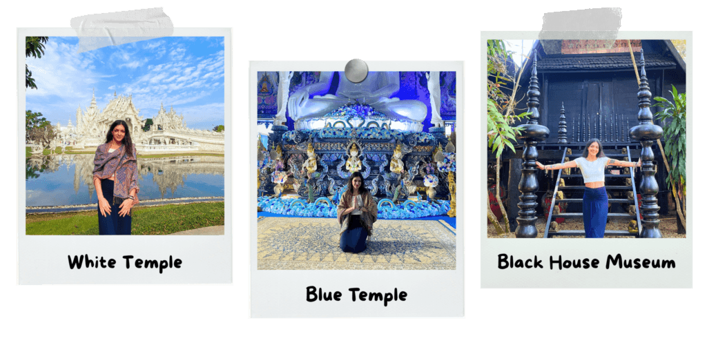 2-days-in-chiang-rai-white-temple-green-fields-and-the-golden-triangle-white-temple-blue-temple-black-house-museum