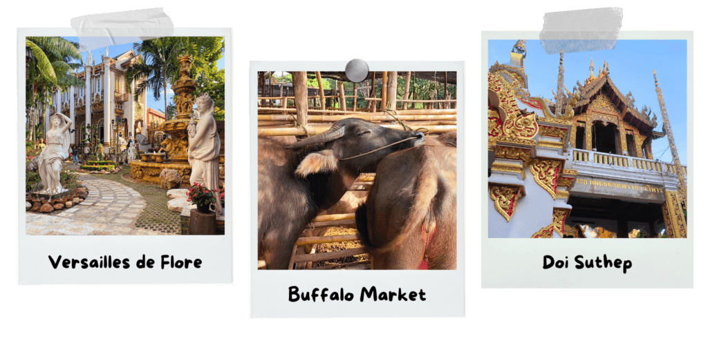 6-days-in-chiang-mai--versailles-de-flore-buffalo-market-doi-suthep