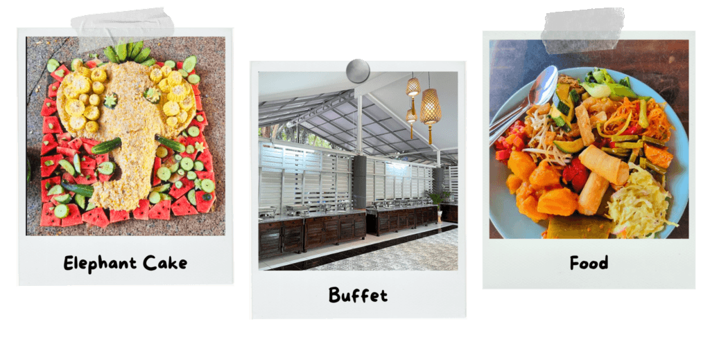 elephant-nature-park-elephant-cake-buffet-plate