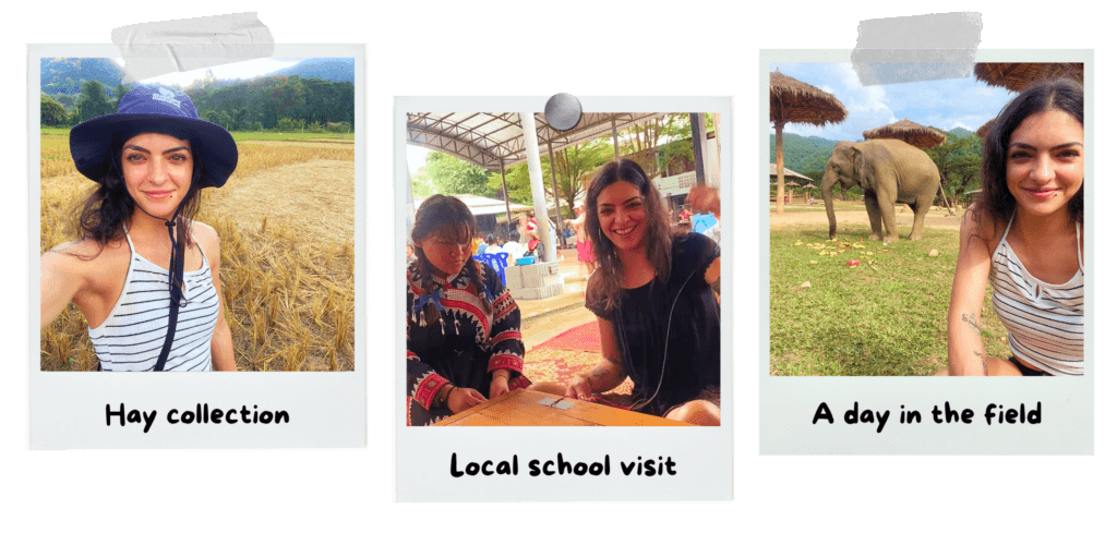 elephant-nature-park-hay-collection-local-school
