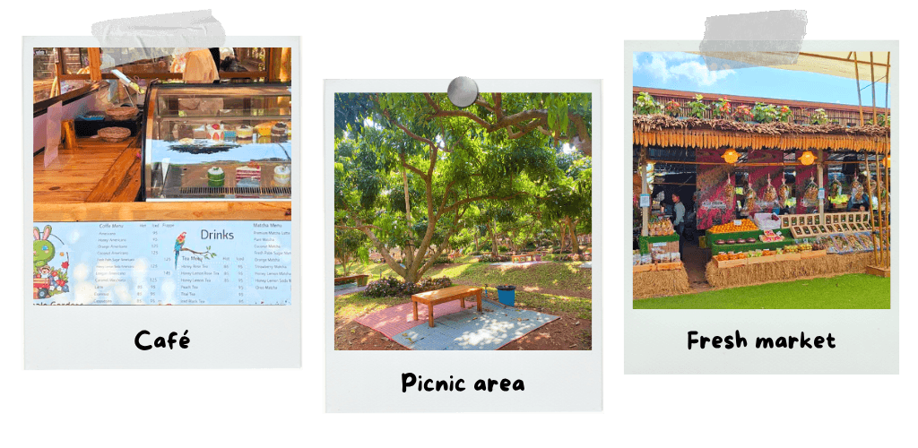 maple-gardens-a-thai-flower-wonderland-in-kanchanaburi-picnic